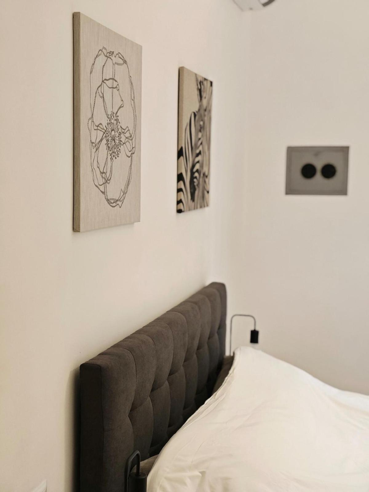 Domus Chigi Rome