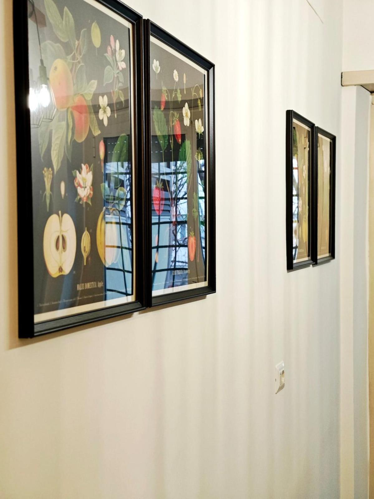 Domus Chigi Appartement *